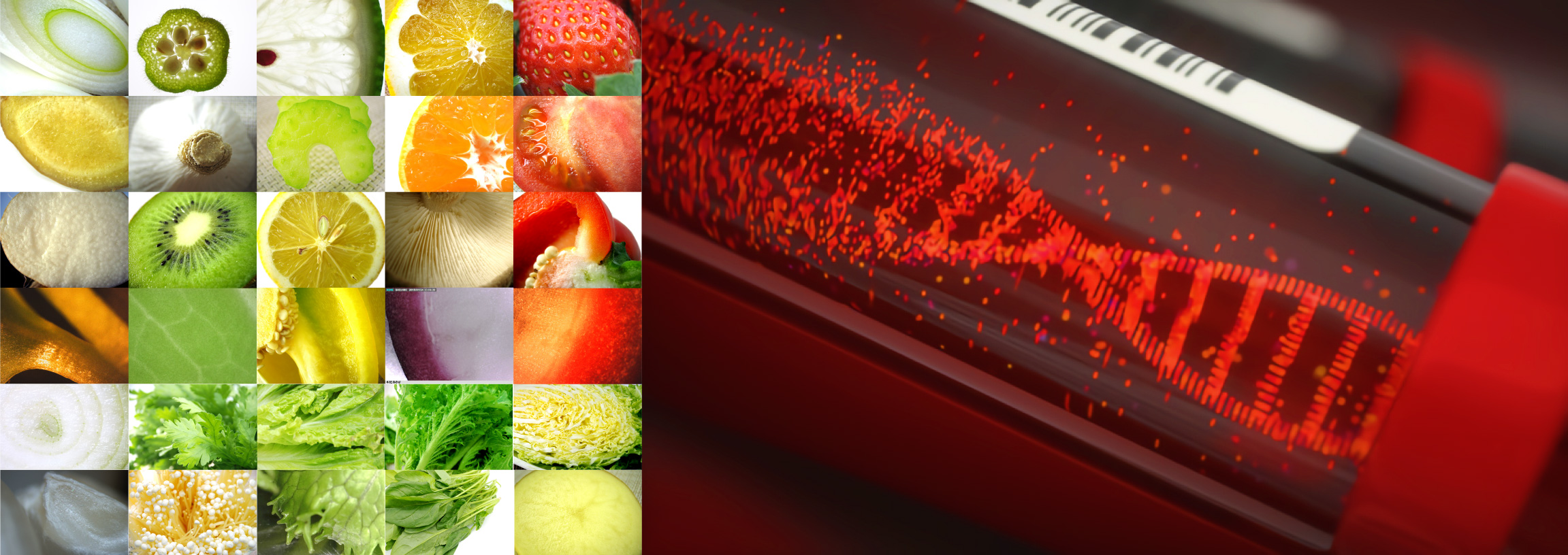 血液や細胞が酸化する食品ではなく還元する食品を摂取して下さい。