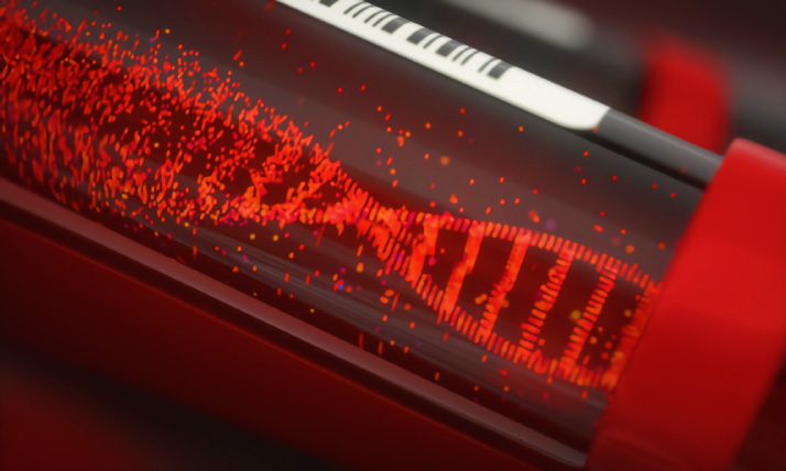 血液や細胞が酸化する食品ではなく還元する食品を摂取して下さい。